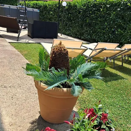 Rosa 住宿加早餐酒店 4*