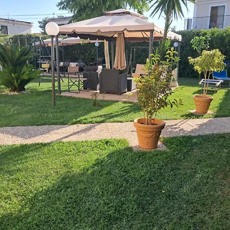 Rosa 4*