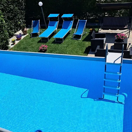 Rosa 4* Sant'Antonio Abate