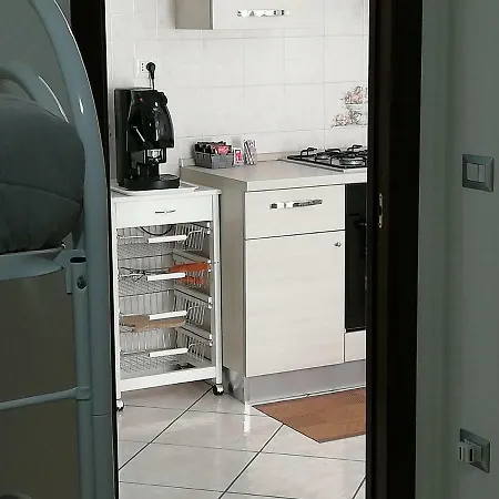 Rosa 3*