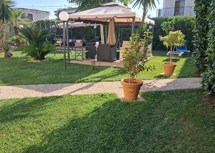 Rosa 4*